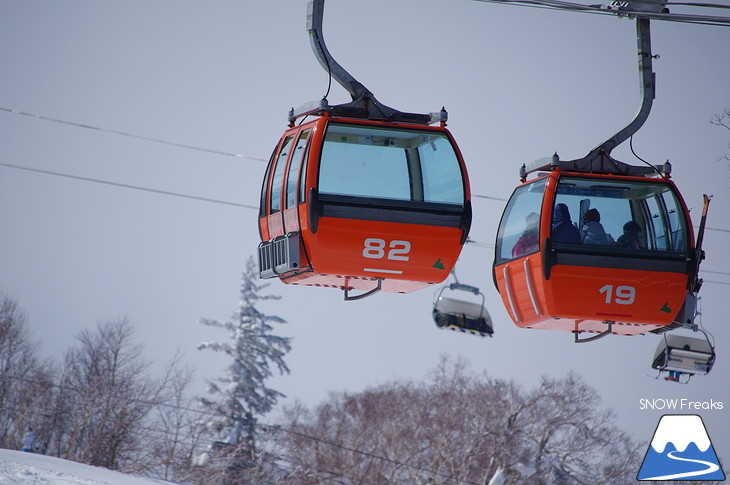 札幌国際スキー場 Welcome back POWDER SNOW !! ～パウダースノー復活～